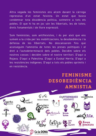 Feminisme Desobediència Amnistia